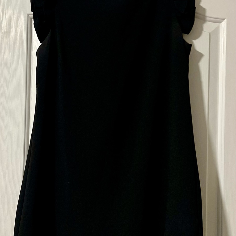Jessica Howard Elegant Black Ruffle Sleeve Dress